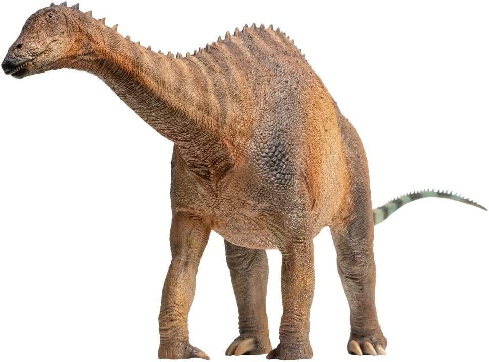 きょうりゅう 福井県立恐竜博物館 セイコー ダイナソーウオッチ／プレミアム